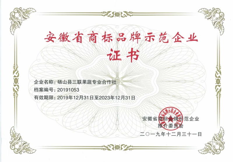 安徽省商标品牌示范企业证书