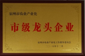 市级龙头企业证书