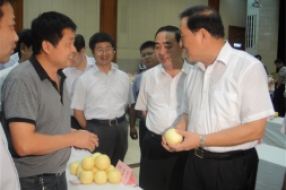 原副省长梁卫国在安徽省名优水果评比中对三联水果大加赞赏