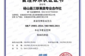 GB/T 19001-2016/ISO 9001:2015质量管理体系认证证书